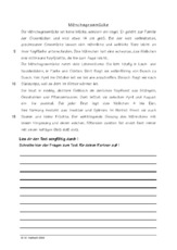 Mönchsgrasmücke.pdf